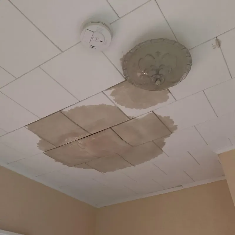 Ceiling Water Damage Repair in Salem, WV