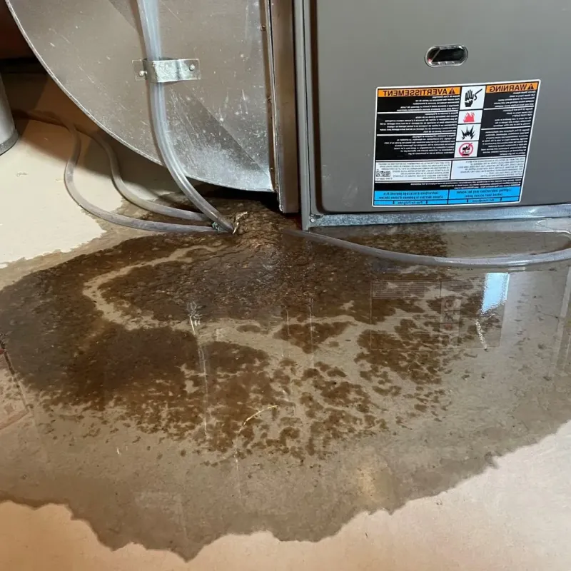 Pipe Burst and Leak Restoration in Salem, WV