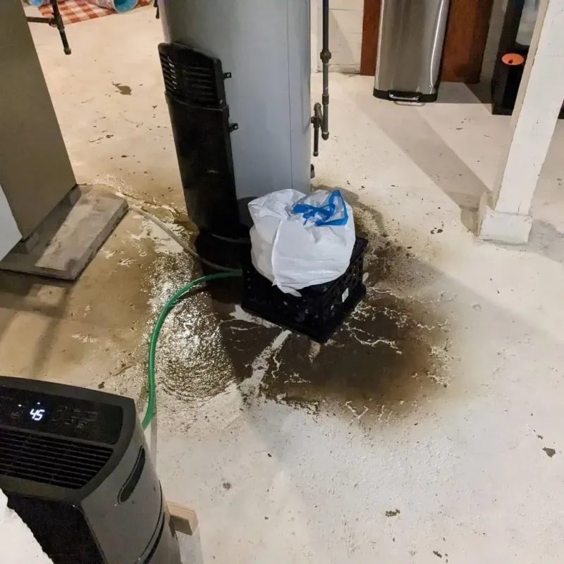 Sewage Backup Cleanup Service in Salem, WV